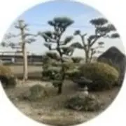 こやま　全て無農薬の画像