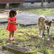 寅ちゃん