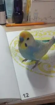 ロン太