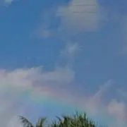 ドラゴン