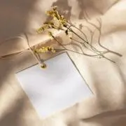 めめの画像