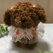 BAGLEの画像