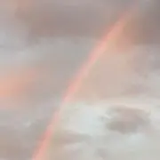 たえの画像