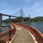 アップルティーの画像