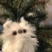 k___kの画像