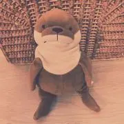 まじょこの画像