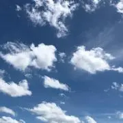 あちこ