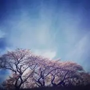 timeの画像