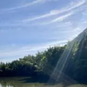 タロの画像