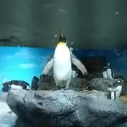 はるママ