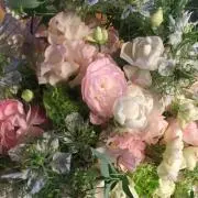 やまびこの画像