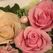 まあぴmamaの画像