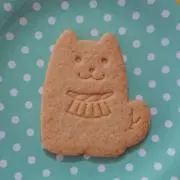カモミールの画像