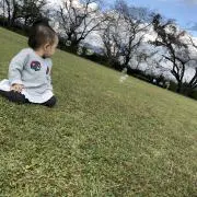 かず