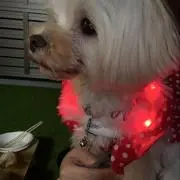 ken