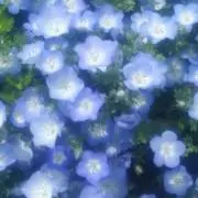 来夢