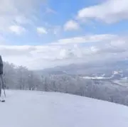 low out