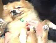 MINAMIの画像