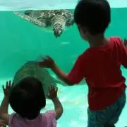 みんぼ