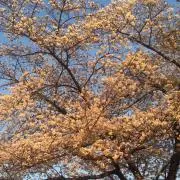 u.s(プロフ必須)の画像