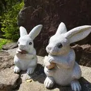 ミポミポの画像
