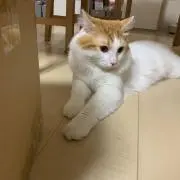 タカカリさん プロフ必見‼️の画像