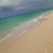 おすぎ