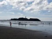 たーくんの画像