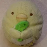 ペンちゃんの画像