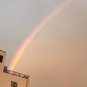 ムム