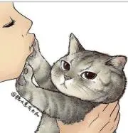 tokuの画像