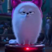あるの画像