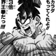 セレソンの画像