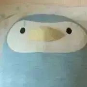 SAWAの画像