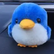 たこたこ
