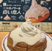北極ぎつね