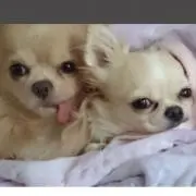 きな&ミニ