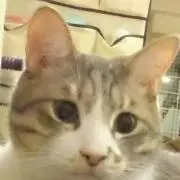ちびまり