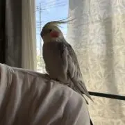 Naoの画像