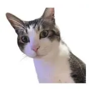 ち