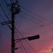 もちの画像