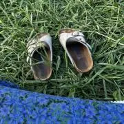 もも