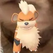 ゐゐの画像