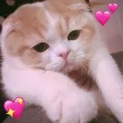 nico❤︎の画像