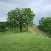ももはるの画像