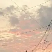 ひなの画像