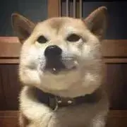 なみの画像