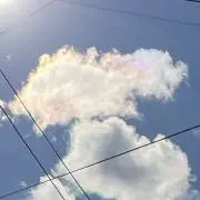 虹龍の画像