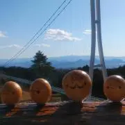 HARUの画像