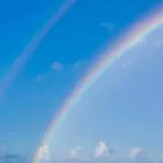 cyn※いきなり購入お断り※の画像